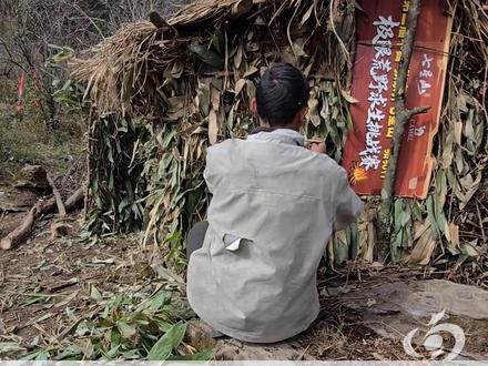 荒野求生体检复查结果公布:除“冷美人”外均合格,此后一天一检 赛事第37天还剩14名男选手。#张家界七星山 #荒野求生 #体检 #大河报河南