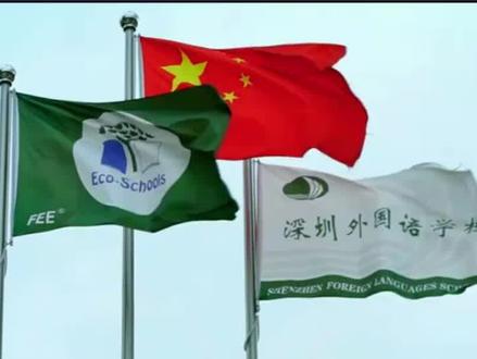 深圳外国语学校入学攻略来了!有想入读深外的家长认真看哦。#深圳外国语学校 #深圳外国语学校高中园 #教育 #升学规划 #家长必读 #家长收藏孩子受益 #校园 #学习
