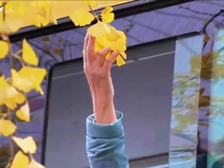 其实文旅宣传,我说白了……#废话文学#昆明文旅#原来春城的秋天更美#抽象