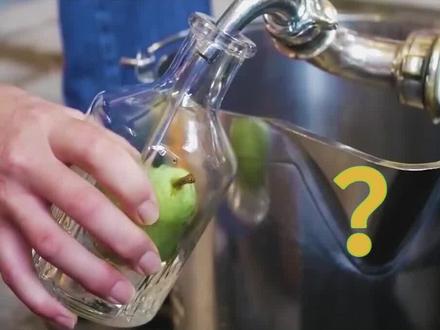 整个大梨子的梨子酒,梨子是怎样装进去的?
#科普