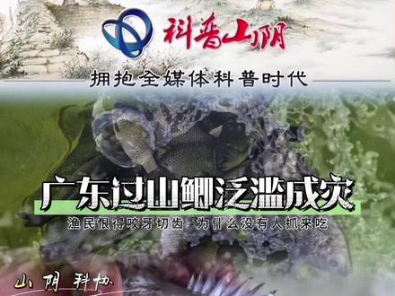 广东过山鲫泛滥成灾,渔民恨得咬牙切齿,为什么没有人抓来吃#动物科普
