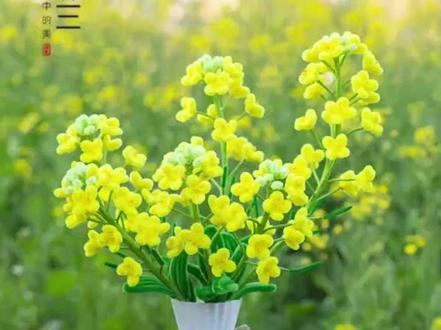 扭扭棒油菜花视频教程