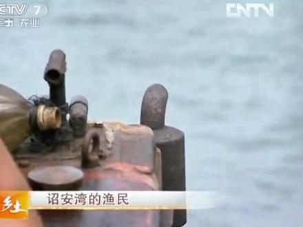 央视七套记者走访诏安湾渔民 #诏安湾渔民 #海蛎养殖基地