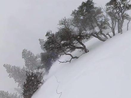 猜猜为什么要在雪地里点火🔥 很多人以为,雪场用“手雷除雪”,是为了把雪清掉。
其实恰恰相反——
他们是在主动制造雪崩。
在Avalanche control中,雪崩不是被“避免”,而是被提前释放。
新雪压在旧雪上,看起来很稳,
但一旦形成断层,任何一个滑雪者、甚至一阵风,
都可能触发一场致命的Slab avalanche。
与其等它在你脚下突然塌陷,
不如在无人、可控的时候——
用爆破,把它提前“引爆”。
让小规模的雪崩先发生,
就不会累积成无法控制的大灾难。
所以你在雪山上听到的那一声爆炸,
不是危险的开始,
而是安全的保障。
真正危险的,是那些——
从来没人替你“试过”的雪坡。
#滑雪 #雪崩 #预防 #安全第一 #极限运动