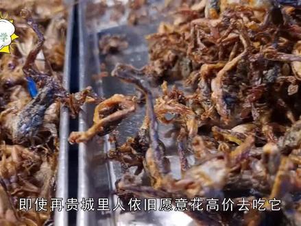 农村常见的蝼蛄,被人们称为“土狗子”,吃了对身体有影响吗?#科普 #冷知识先锋计划 #冷知识