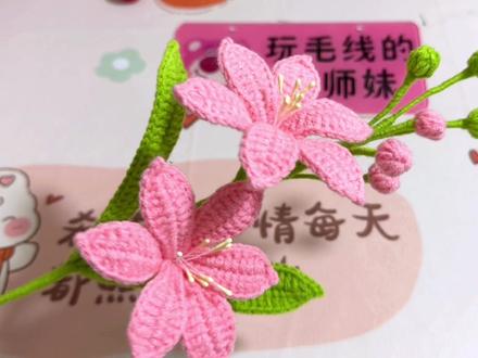 一朵浪漫火星兰,热情奔放坚强自主,爱情永恒。#爱生活爱编织 #火星兰钩织教程