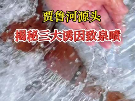 郑州贾鲁河源头:揭秘三大诱因致泉喷,你觉得还有其它什么原因呢?