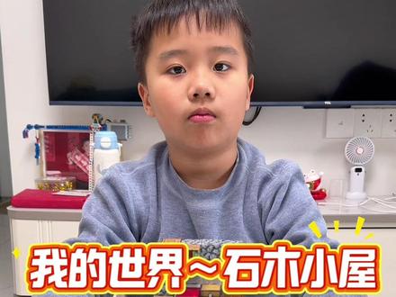 我的世界石木小屋积木#磁力方块积木 #我的世界磁力小方块玩具 #我的世界 #minecraft #我的世界磁力积木