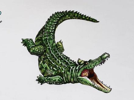 画鳄鱼 手绘鳄鱼教程#画画#手绘#绘画过程#鳄鱼#恐龙