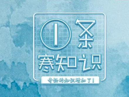 终于可以肆无忌惮的拍人了!