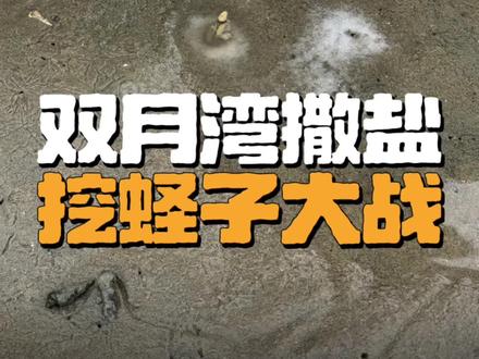 在广东赶海的另一种方式,挖蛏子,小朋友非常喜欢的撒盐诱蛏#赶海#大海#海岛探索#挖蛏子