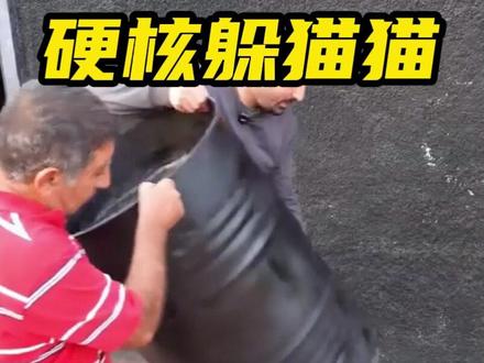 最新土耳其版硬核躲猫猫 20万奖金最终花落谁家,结局差点打起来#躲猫猫