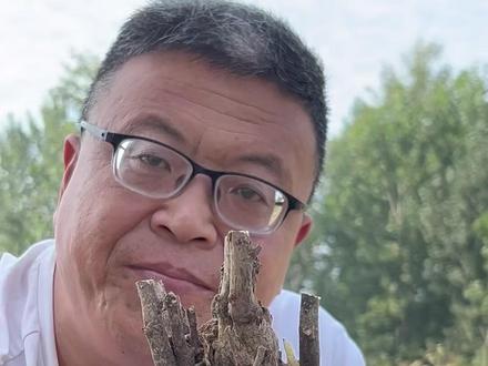 平茬种植牡丹
成活率高 生根快
每天分享牡丹芍药知识
#牡丹种植 #牡丹 #三农 #感谢抖音