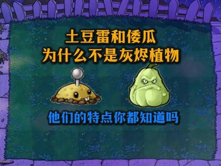 为什么说土豆雷和倭瓜不属于灰烬植物?土豆倭瓜特性科普 #植物大战僵尸 #游戏 #pvz #土豆雷 #倭瓜