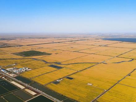 【学习方法】错综复杂的脉络让你无从下手?黑盒分析帮你忙!#数学思维 #学习 #涨知识 #知识分享 #学习方法 #抖音小助手