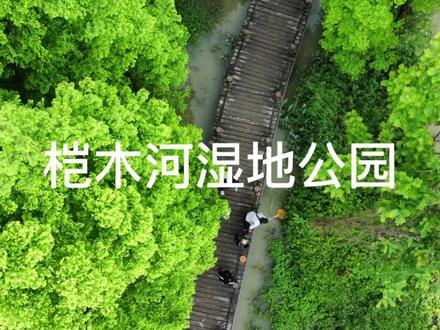 成都周边免费露营玩水的水上湿地公园#桤木河湿地公园 #成都露营 #野炊露营