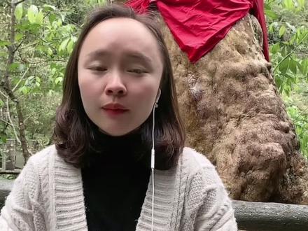 马灵光你知道是什么吗!#我和我的家乡恩施地心谷#湖北星旅播 #恩施风情之旅