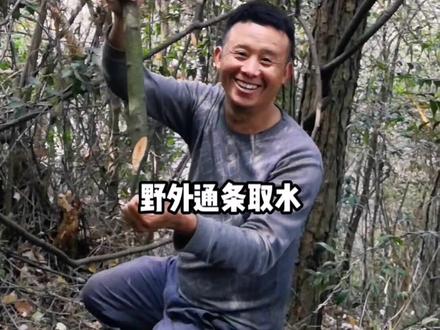 传承中医文化识别#野生药材 通条取水