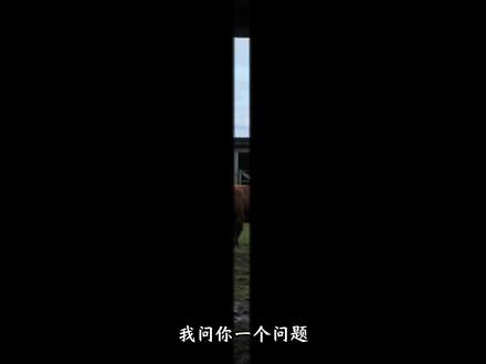 口蹄疫新毒株让南非进入“国家灾难”状态,国内现有疫苗对它无效 #养牛 #口蹄疫 #五号病 #养羊人 #三农