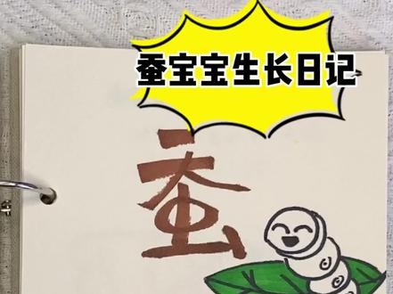 蚕宝宝生长日记-蚕宝宝的一生!最近全国小朋友都开启了养蚕之路吧?你知道蚕宝宝到飞蛾经历了哪些吗?一起来看看手工制作的绘本吧!#简笔画 #手工绘本