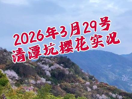 2026年3月29号清潭坑樱花实况又来了,5公里范围内可以赏花的村庄有(王可湾 ,岗竹山,清潭坑,董坞岗,董家庄,东林,岩沿头) ,都是非常不错的赏花胜地,只要时间够就不要局限于一个地方,这里是花的海洋…😀😀😀#樱花季 #赏花攻略 #我的乡行漫记 #美丽乡村 #旅行推荐官