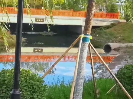 走遍宝坻带您一起探访龙潭公园,运动健身,休闲遛娃的好去处,美丽的家乡建设的越来越好。#记录真实生活 #随手一拍都是美景 #城市风景一角 #记录这一刻 #美好时光留住美好的回忆