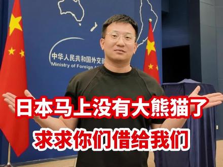 日本马上没有大熊猫了,日本记者:求求你们借给我们吧! #聚v计划 #硬核深度计划 #日本 #高市早苗