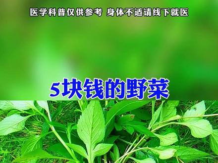 5块钱的野菜,就能对付肝病,农村遍地都是 #中医#健康科普#我的年度健康盘点#抖出健康知识宝藏#肝病