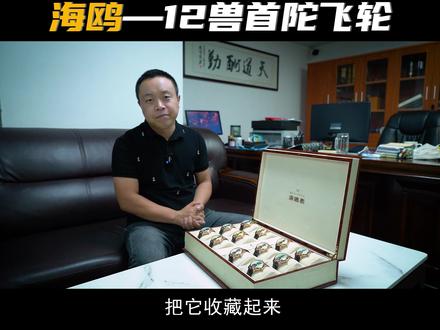 国产之光—海鸥十二生肖陀飞轮#海鸥表 #支持国产