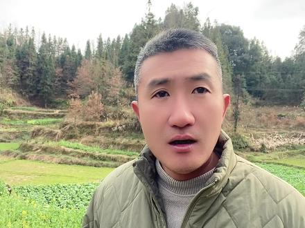 王菲春晚,最大的失望#汪峰 #春晚