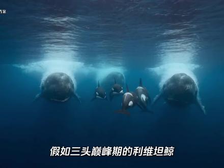 假如利维坦鲸降临现代,能称霸这片海域吗? #利维坦鲸 #科普 #科普一下 #史前巨兽 #神奇动物在抖音