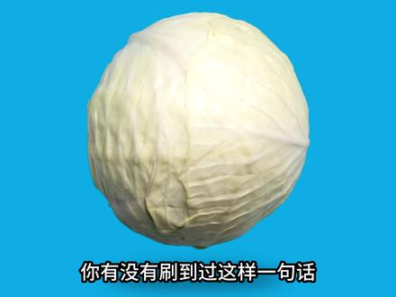 为什么白菜会对我笑?《正经的梗》#白菜对我笑#梗#抽象#科普