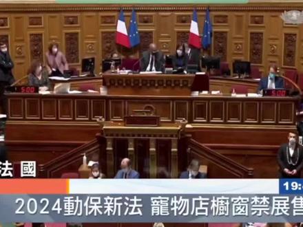 呼吁🇨🇳#动物保护法立法 #反虐待动物法 立法#禁食猫狗立法