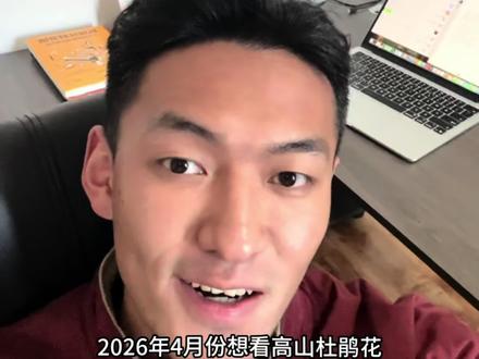 千万别错过!1分钟带你解锁云南高山杜鹃徒步路线。#哈巴黑海#哈巴西坡#南极洛#徒步#户外