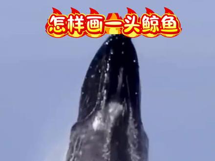 这样画鲸鱼,你也会 #儿童简笔画 #一起学画画