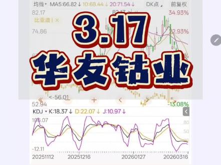 3.17 华友钴业#股市热点追踪 #财经热点话题 #投资机会捕捉