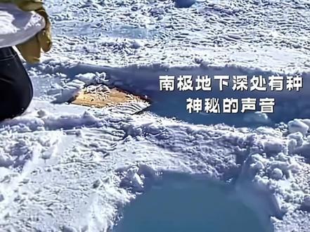 善良咕嘎已经提醒过你了#咕咕嘎嘎#高松灯#舞蹈#南极#企鹅