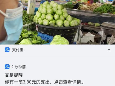 这孩子多自觉啊,不用手机这不也挺好么!就这#儿童电话手表小寻 #支付宝 #微信 @DOU+小助手