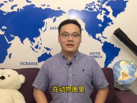 小狗撒尿为什么要抬起一条腿呢?耍酷还是另有隐情?一起来揭秘!