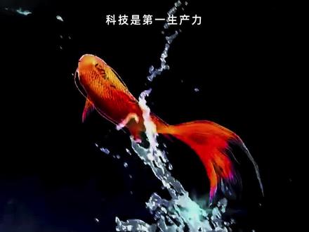 历届高考的最难数学题,你被支配了吗?#高考 #数学时刻