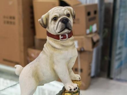 荣耀魔术7pro你们真的太小看他了!绿洲护眼屏,处理器, 屏幕 ,指纹 ,马达,几乎最好的扬声器 ,无线充电 ,3d人脸解锁还有2亿像素的三星hp3潜望长焦镜头,这不纯纯六边形战士吗#荣耀magic7pro #绿洲护眼屏 #荣耀