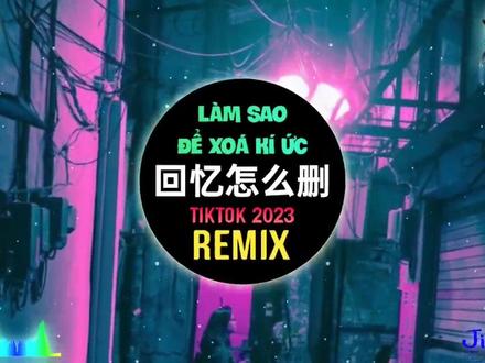 L(桃籽) - 回忆怎么删 (fkDJ抖音版)