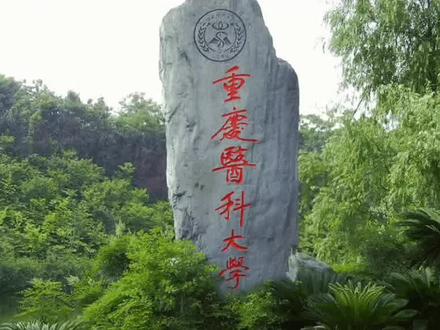 重庆医科大学23年录取情况,临床收分变化不大#四川高考#高考志愿