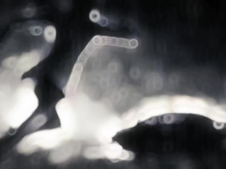 儿子,往车那边跑,千万别回头#楚天骄 #雨夜的迈巴赫 #龙族