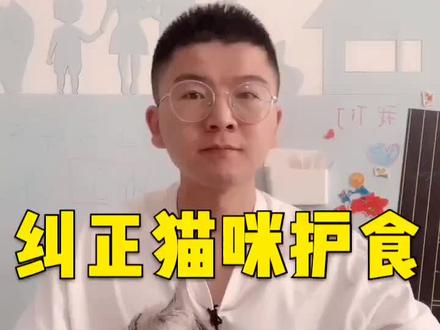 纠正猫咪护食#猫咪日常