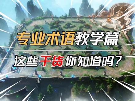 《专业术语教学篇》超详细干货讲解!学了你也可以成为游戏大神!#王者荣耀