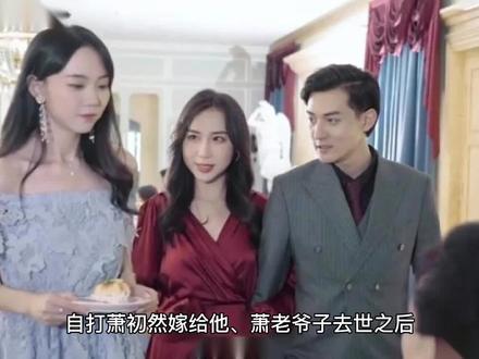 上门女婿(叶辰与萧初然)