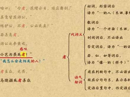 文言文阅读-文言文虚词-一词多义“者”#快乐学习快乐成长 #陪孩子一起学习 #每日练习 #每天进步一点 #每日练习 #爱学习爱生活 #亲子教育 #国学亲子教育#家长收藏孩子受益