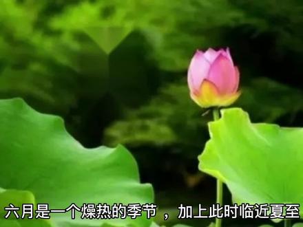 六月钓鱼,弄懂这3个关键问题,大鱼进鱼护就不是问题 #野钓 #户外钓鱼