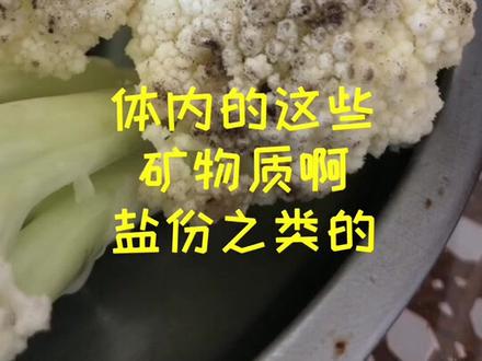 菜花表面发黑怎么回事儿@抖音小助手 #菜花 #食品安全 #涨知识